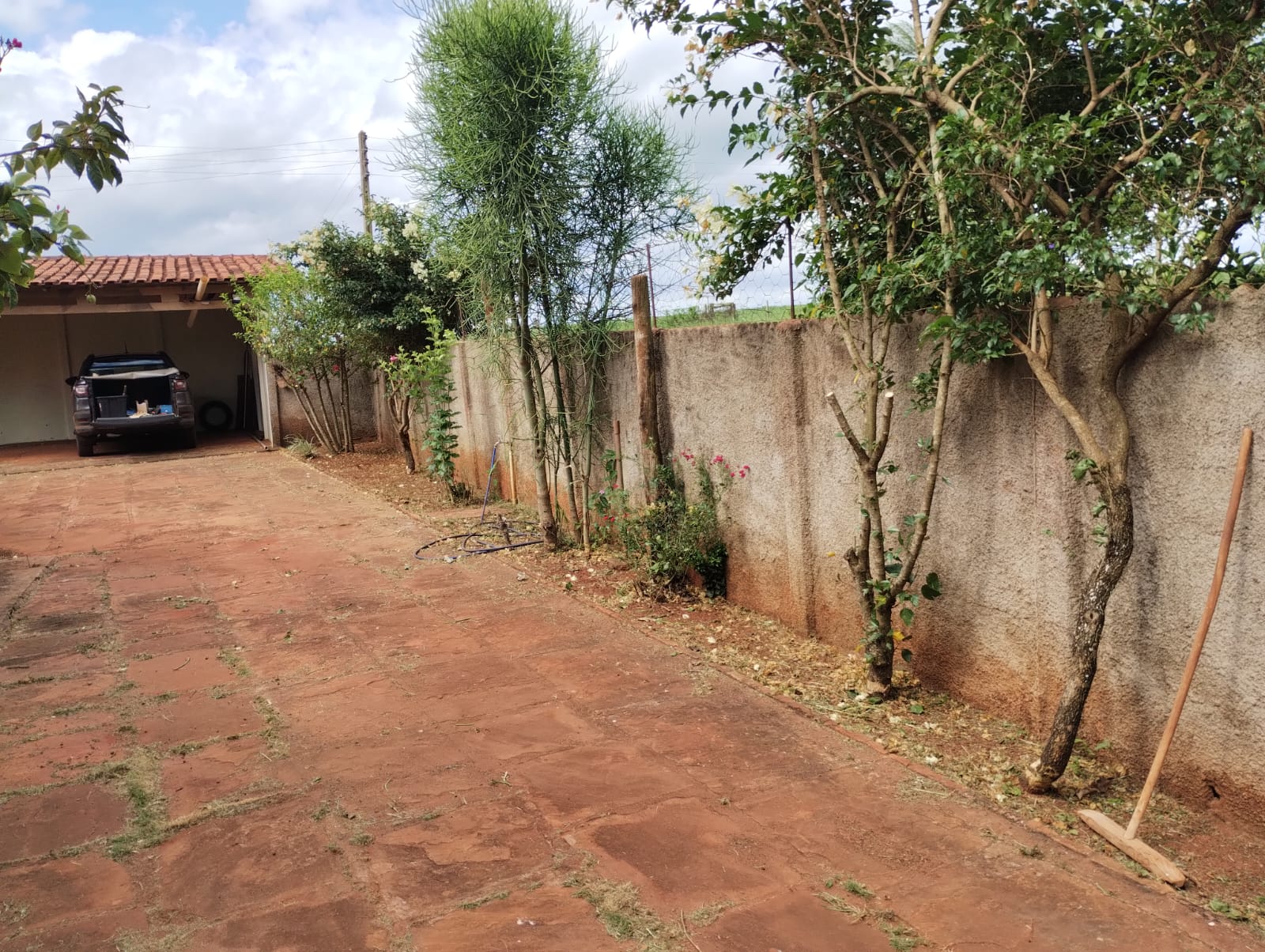 Limpeza de quintais e jardins